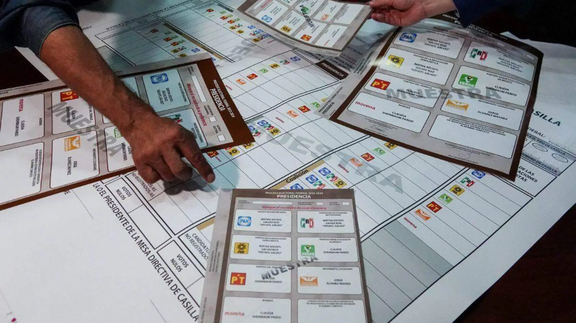 capacitadores electorales